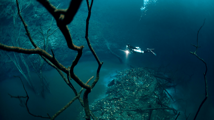 Anatoly-Beloshchin-Underwater-River-11-750x420