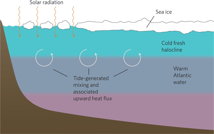 Figure-1-Layers-in-Arctic-waters-In-the-Arctic-Ocean-a-cold-fresh-water-layer