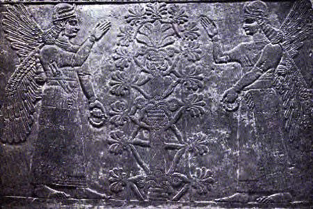 harut-ve-marut