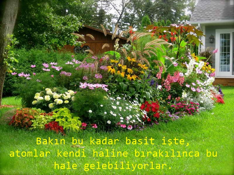 Fresh-Flower-Gardening-Ideas