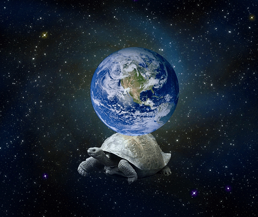 earthtortoise (boyutlandırma)
