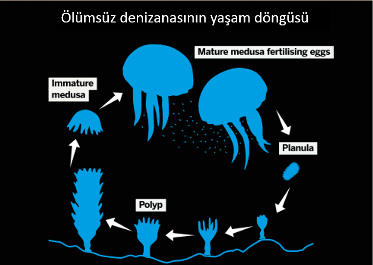 2018-11-05_171127.png