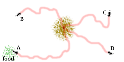 antDiagram1