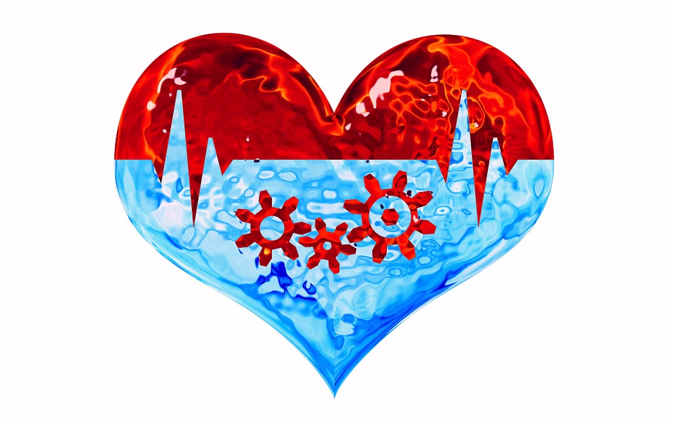 heart-864605_960_720